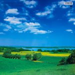 DAVID BOWIE - EARTHLING