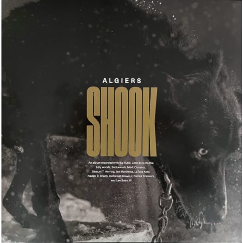 ALGIERS - SHOOK