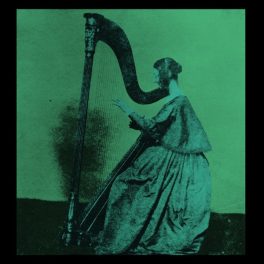 TV Girl – Grapes Upon The Vine