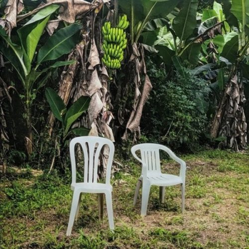 Bad Bunny – Debí Tirar Más Fotos (White)