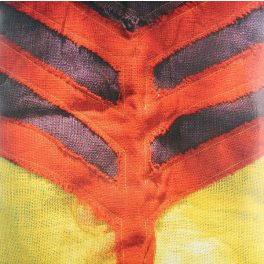 Yeah Yeah Yeahs – Show Your Bones