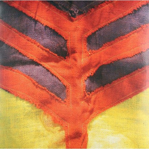 Yeah Yeah Yeahs – Show Your Bones