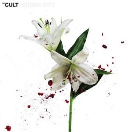 The Cult – Hidden City