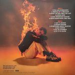 PANIC! AT THE DISCO - VIVA LAS VENGEANCE