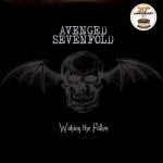 Avenged Sevenfold – Waking The Fallen (20th Anniversary)
