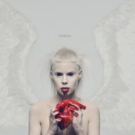 Die Antwoord - Ten$Ion