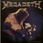 MEGADETH - A NIGHT IN BUENOS AIRES 