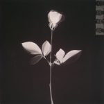 DEPECHE MODE - VIOLATOR