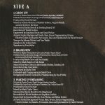 SHANIA TWAIN - QUEEN OF ME