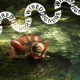 Wired To Ignore – Wired To Ignore
