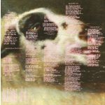 RED HOT CHILI PEPPERS - BY THE WAY